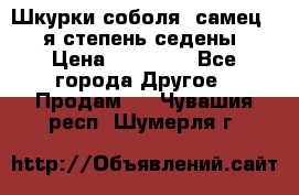 Шкурки соболя (самец) 1-я степень седены › Цена ­ 12 000 - Все города Другое » Продам   . Чувашия респ.,Шумерля г.